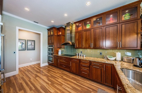 Palm Harbor House | Dolphins in your backyard! Peaceful waterfront oasis w/sparkling pool & hottub.