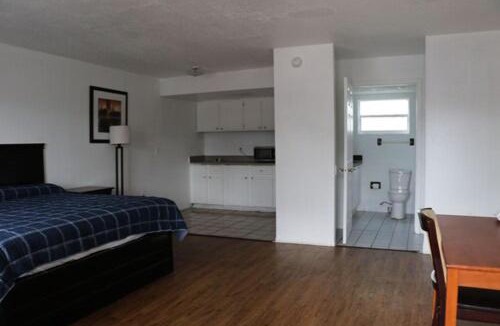 Dunedin Hotel | Dunedin Cove Motel