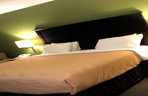 Wesley Chapel Hotel | Econo Lodge Wesley Chapel I-75