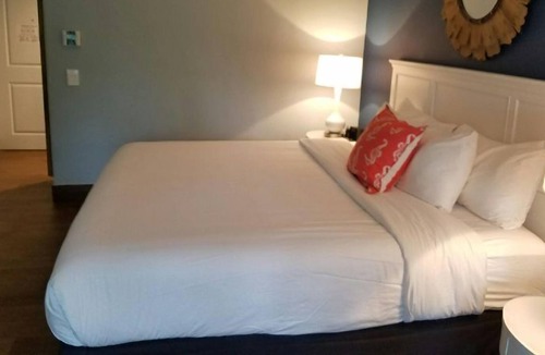 Marathon Resort | Family and Friends Getaway! 2 Pet-friendly Units, Onsite Pool and Tennis Courts