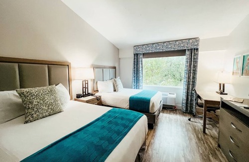 Key Largo Hotel | Family Bayside Retreat Near Florida Keys Diving Adventures | 3 Units