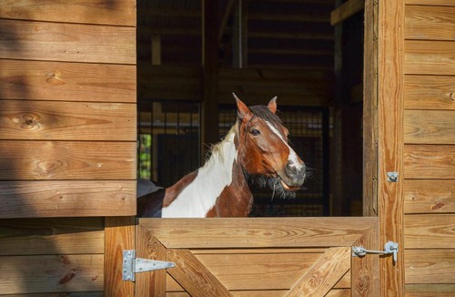 Lakeland Apartment | Farm Stay: Modern Barndominium in Lakeland!