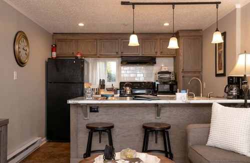 Kenilworth Ski Chalet | Full Berne Duplex Chalet 4 Mins to DT AVL, 10 Mins to Blue Ridge Parkway, Dogs
