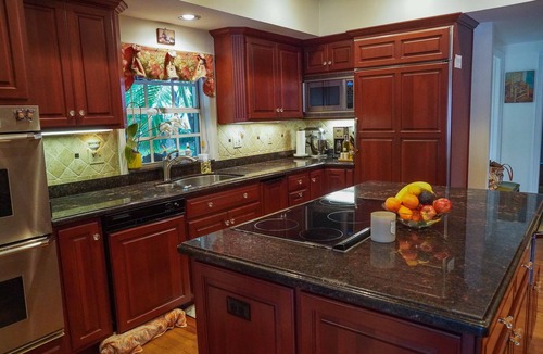 New Suburb Beautiful House | Gorgeous Estate, Pool, Playground, & Double Lot, Heart of South Tampa