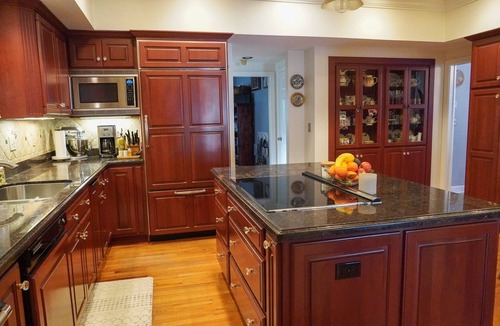 New Suburb Beautiful House | Gorgeous Estate, Pool, Playground, & Double Lot, Heart of South Tampa