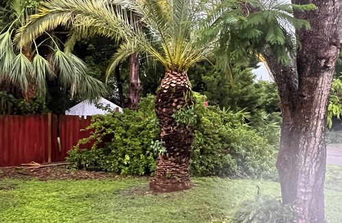South Venice House | House PoolSpa near North ManasotaBeachNew PoolSpa heater&remote 2 Bd2 BthAC WiFi
