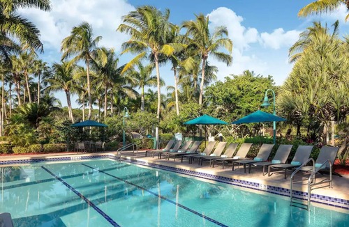 Estero Resort | Hyatt Vacation Club at Coconut Cove - Studio Available March 24 -> 29, 2024