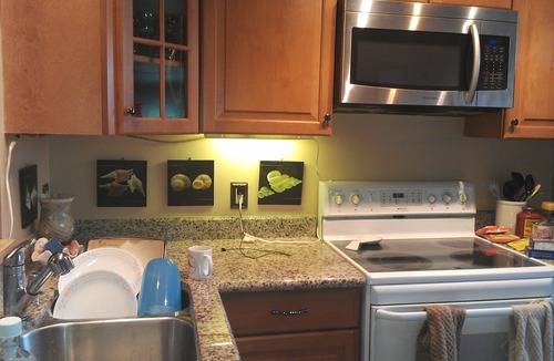 Hutchinson Island South House | Island Village II, Hutchinson Island vacation townhouse rental
