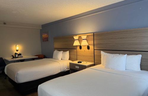 Pinellas Park Hotel | La Quinta by Wyndham St Petersburg-Clearwater