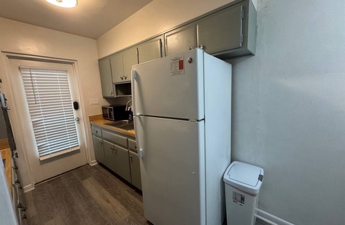 South Eola Condo | Lake Eola view 1 bedroom Thornton Park