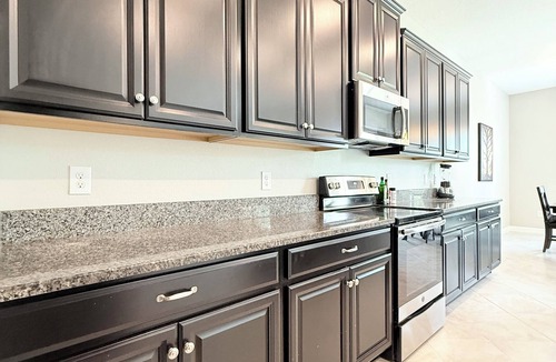 Balm House | LUXURIOUS 4BR HOME IN PRISTINE COMMUNITY WITH HIGH-END AMENITIES-SUN CITY CENTER