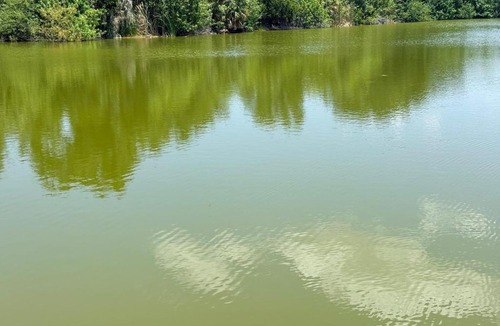 Ruskin House | Luxurious Stunning 4 bedroom 2 plus bath Lake House