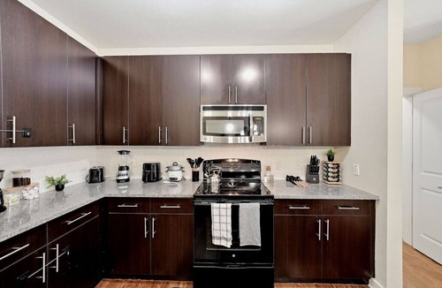 Courier City - Oscawana Apartment | Luxury 2BR in Tampa | Pool, Gym & Yoga Studio