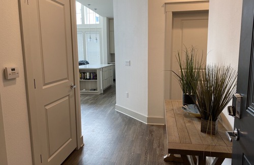 Rosemary District Apartment | Luxury Apartment in Downtown Sarasota