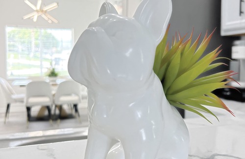 Bahama Bay House | Luxury Modern Pool House close to theme parks, dining and shopping.