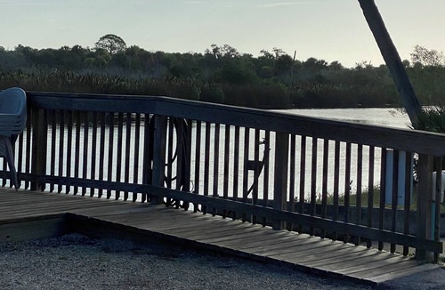 Venice House | Myakka River Hideaway Minutes to the Beautiful Gulf Beaches and Downtown Venice