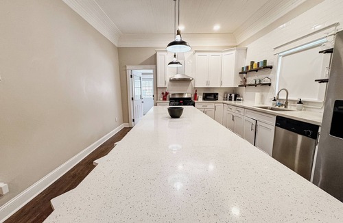 Ybor City House | New 5BR 3B Home with SwimSpa and Mini Golf near Ybor!