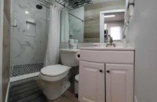 Carrollwood Apartment | New Cozy Studio, great location. Home sweet home