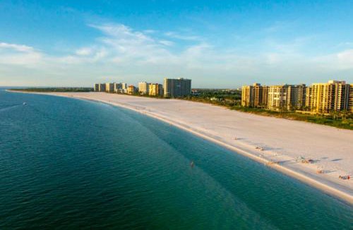 Naples Park House | NEW Palm Tree Paradise -Close To The Beach! Beautiful Heated Pool!
