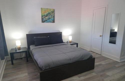 St. Petersburg - Clearwater Apartment | Nice 1 Bedroom Apartment in Sunny Days Motel 3