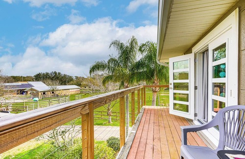 Greater Northdale Apartment | Pasture & Pond Views: Lovely Lutz Apartment