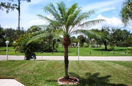 Bonita Shores House | Peaceful Florida Retreat.Spacious 3BR/3BA Private Pool Home