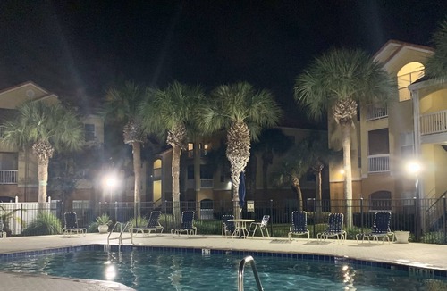 Seminole Condo | Peaceful Paradise 2 - 5 min from beaches