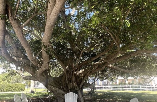 Whitney Beach House | Private home, North End LBK. 2 Bedrooms 1 Bath On 2nd Floor only steps to beach