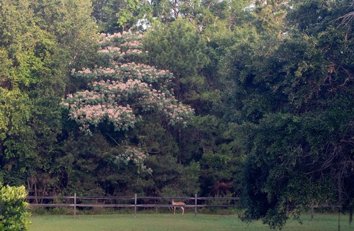 Saint Helena Island House | Private Low Country Waterfront Oasis with dock only 10 min to Beaufort