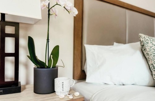 Key Largo Hotel | Relaxing Bayside Stay Near Dolphins Plus With Heated Pool