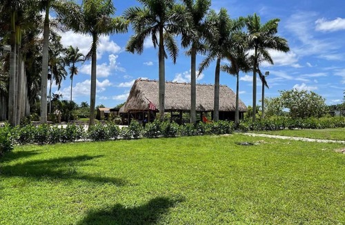 Ludlam Cabin | Retiro wellness privado en Miami - Naturaleza, descanso y conexión