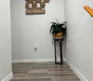 Bearss Plaza Apartment | Sea Breeze