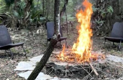 Port Canaveral Cabin | Secluded Off-the-Grid Cabin with Tropical Land Near Cocoa, Florida