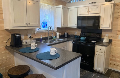 Franklin Cabin | Secluded Storybook Cabin -Dog Friendly with Fenced Yard and Starlink