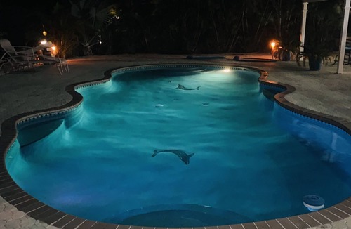 Marathon House | Sombrero Beach Paradise with private Pool and Dock w/Immediate Ocean Access
