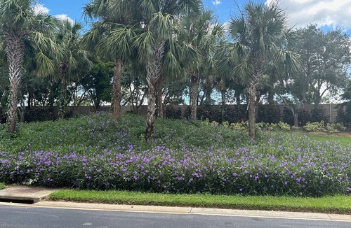 Bonita Springs Villa | Spacious 3-bed sunset villa available from Mid Feb to end of April 2026