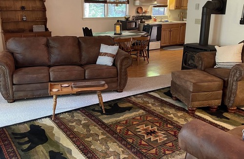 Dushore Cabin | Spacious 3BR cabin near trails for Spring break or Summer getaway! Pets welcome!