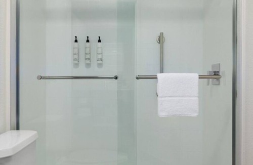 Tampa Hotel | Springhill Suites by Marriott Tampa Brandon