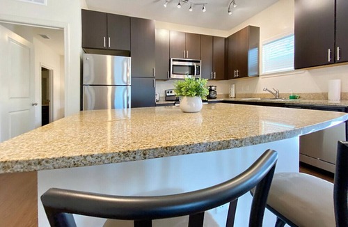 Citrus Park Apartment | Stylish Lakefront Tampa Living, Pet Friendly