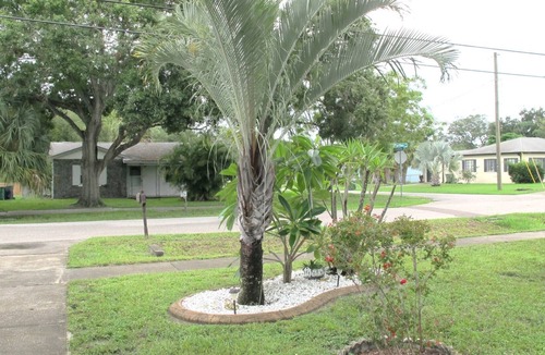 Ballast Point House | Tampa Tiki House - Bar & Heated Pool