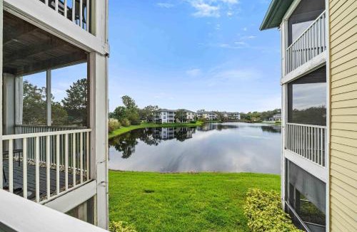 Carrollwood House | The Urban Oasis - Serene Views