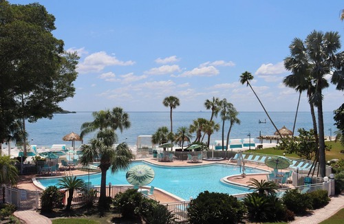 Pinellas Point House | Uncover St. Pete's Gem: Steps Away from Art to Nature to Culinary Bliss