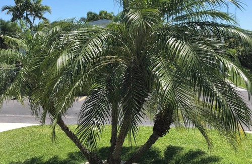 Pembroke Park House | Vacation Home- Beautiful Immaculate. Close to beach & airport. Gated community.