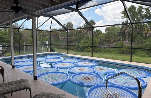 Venice Groves House | Waterfront single home rental with private lanai, heated pool, and hot tub!