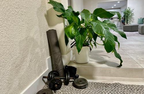 Northeast Miami Hostel | World Connect Miami