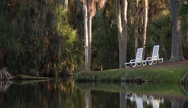 1br Deluxe Condo Golf, Beach & Deep-Sea Fishing