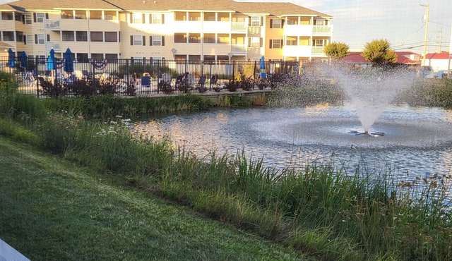 2103 Palms, 2-bedroom condo, Aug 21 - 24 weekend is still available.