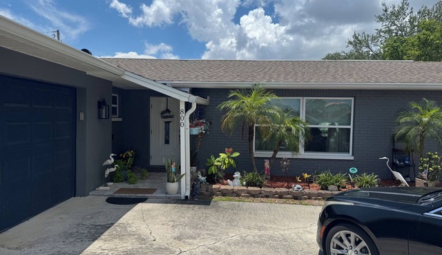 3-bedroom Pool house in fantastic St. Petersburg with AC, WiFi, Spacious home