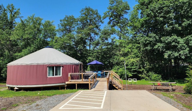 30' ADA Yurt with a large deck, on the creek, full kitchen, dome skylight, dog friendly, 2 bedrooms, sleeps 5.