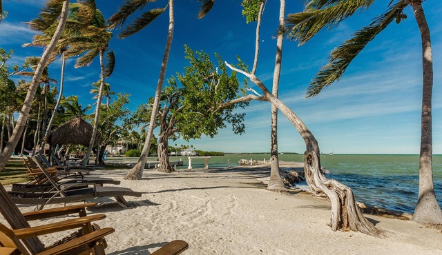 4 Bedroom Private Oceanfront House - Bahia